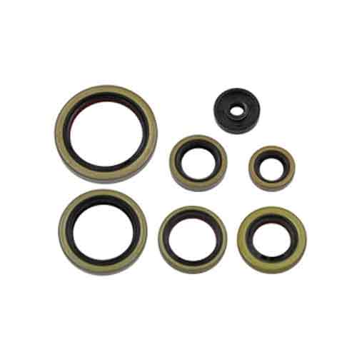 PSYCHIC MX, ENGINE OIL SEAL SET GAS GAS EC250 EX300 21 HUSQVARNA TC250 17-19 TE250 17-18 TE250 TPI 18-19