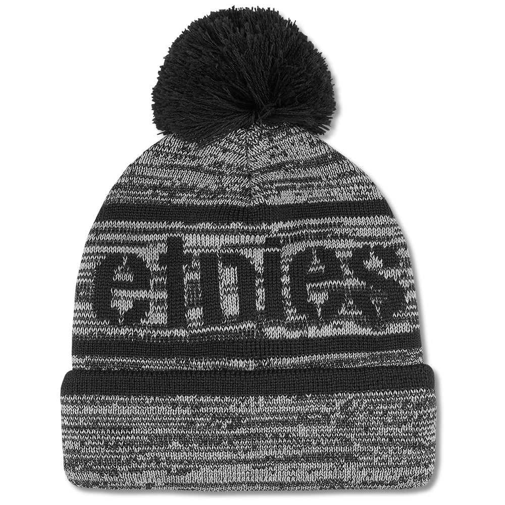 ETNIES, ETNIES STENCIL POM BEANIE [BLACK ACID] OS